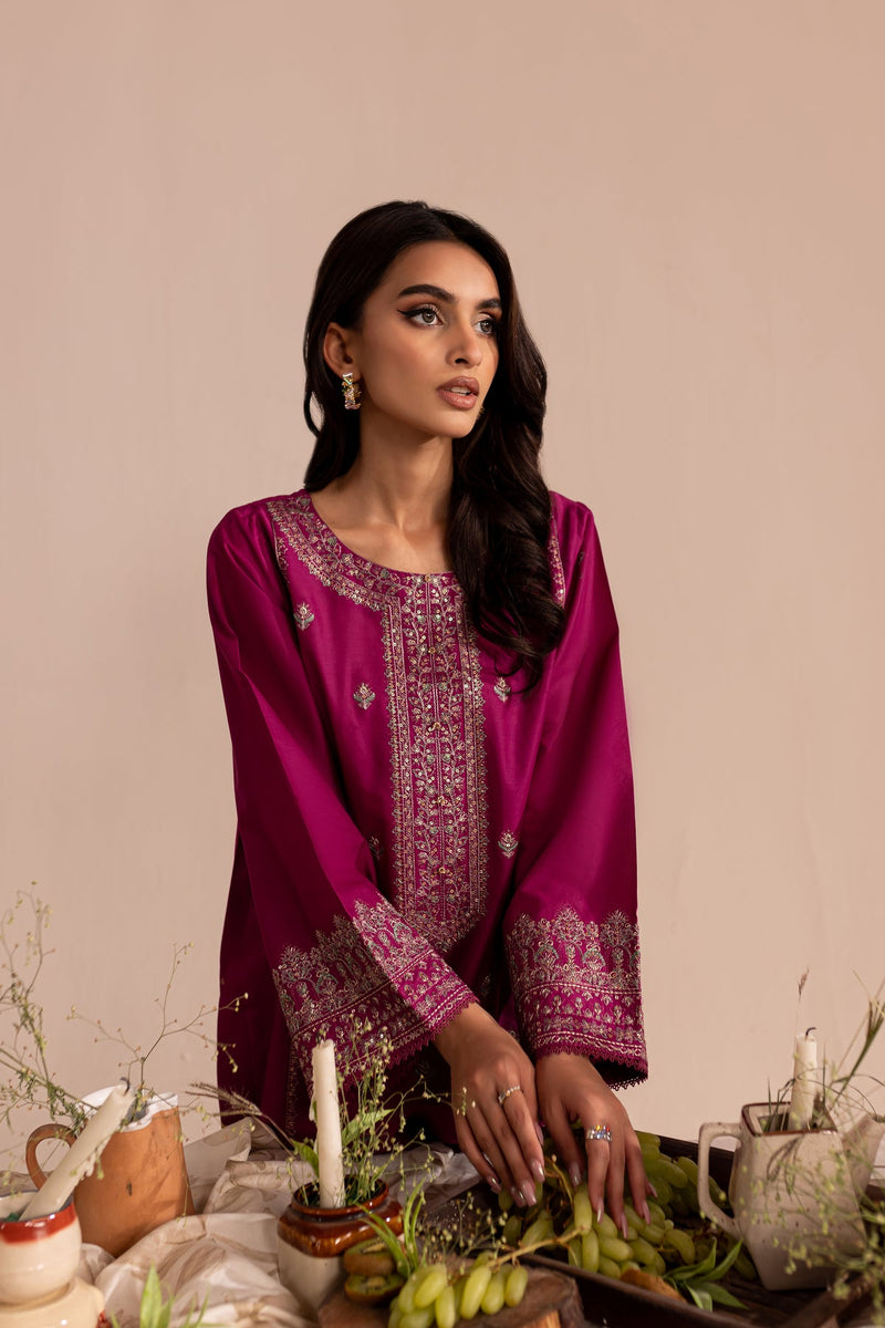 Winter - Best Selling - Luxor - 2Pc Embroidered Dress