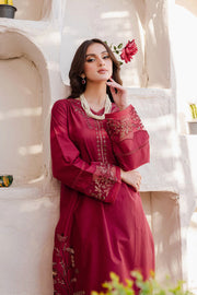 Winter - Best Selling - Areena - 2Pc Embroidered Dress