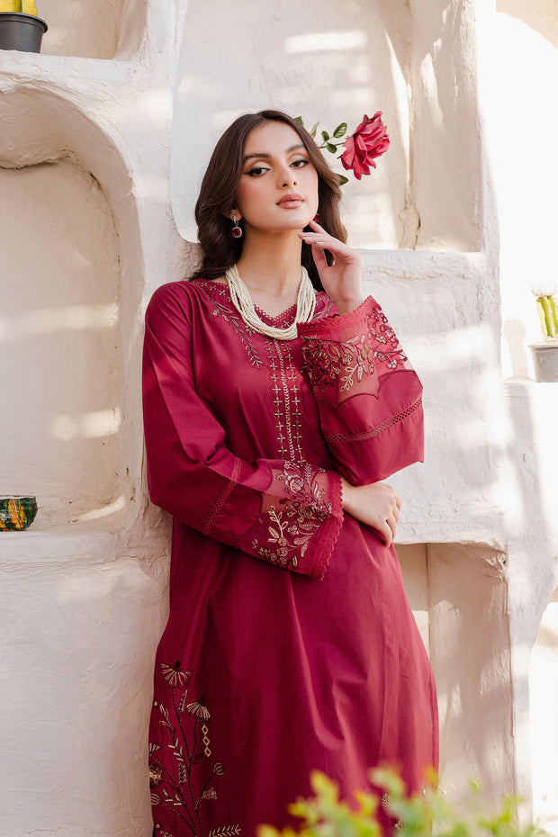 Winter - Best Selling - Areena - 2Pc Embroidered Dress