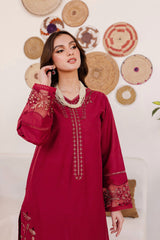 Best Selling - Areena - 2Pc Embroidered Suit