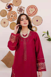 Winter - Best Selling - Areena - 2Pc Embroidered Dress