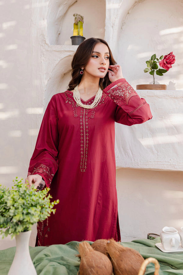 Winter - Best Selling - Areena - 2Pc Embroidered Dress