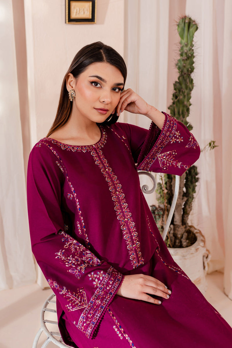 Winter - Best Selling - Joy - 2Pc Embroidered Dress