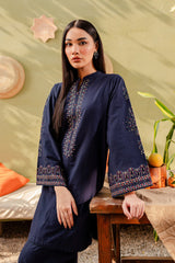 Winter - Best Selling - Ash - 2Pc Embroidered Dress Dark Blue