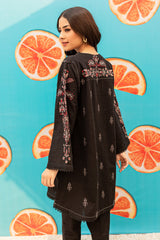 Winter - Best Selling - Fusion Black - 2Pc Embroidered Dress