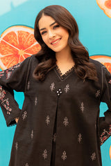 Winter - Best Selling - Fusion Black - 2Pc Embroidered Dress