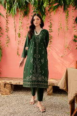 Winter - Best Selling - Liana - 2Pc Embroidered Dress