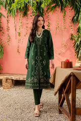 Winter - Best Selling - Liana - 2Pc Embroidered Dress