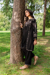 Winter - Best Selling - Smoky - 2Pc Embroidered Dress