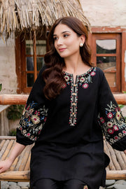 Winter - Best Selling - Black Beauty - 2Pc Embroidered Dress