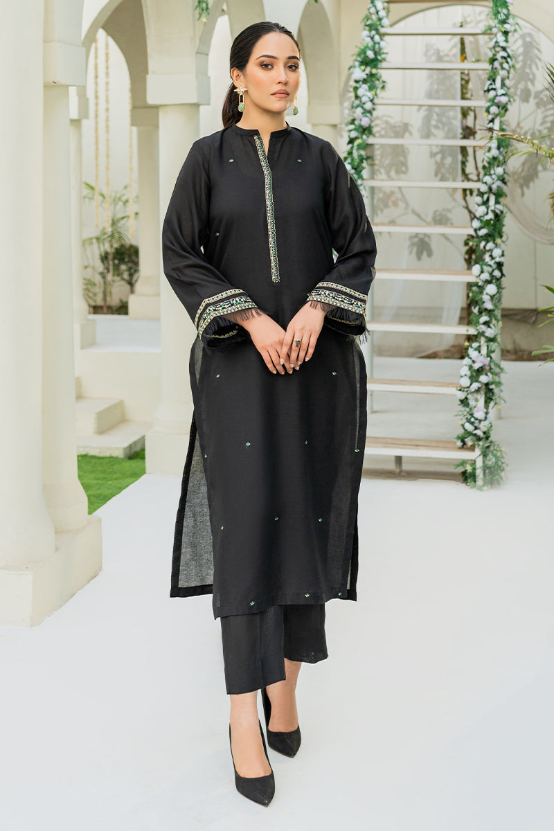 Winter - Best Selling - Sable - Stitched 2Pc Embroidered Dress