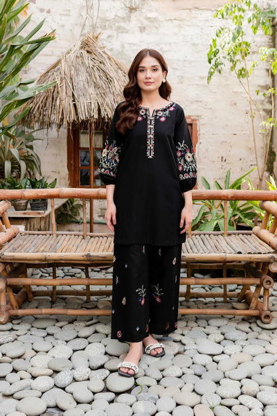 Winter - Best Selling - Black Beauty - 2Pc Embroidered Dress