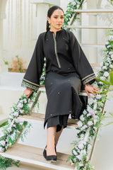 Winter - Best Selling - Sable - Stitched 2Pc Embroidered Dress