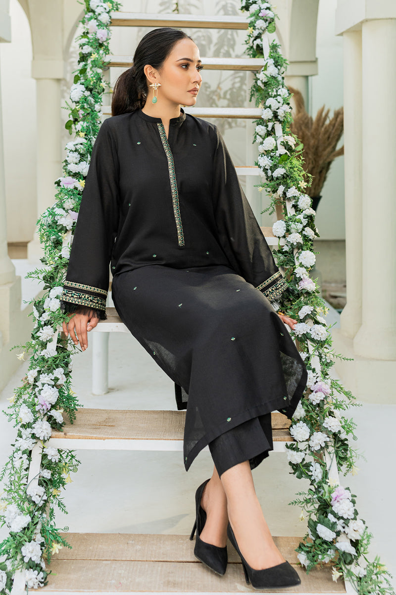 Winter - Best Selling - Sable - Stitched 2Pc Embroidered Dress