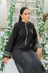 Winter - Best Selling - Sable - Stitched 2Pc Embroidered Dress