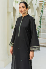 Winter - Best Selling - Sable - Stitched 2Pc Embroidered Dress