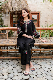 Winter - Best Selling - Black Beauty - 2Pc Embroidered Dress